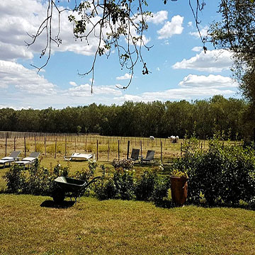 vue sur la nature