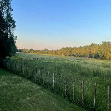 vue sur la nature